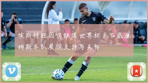 埃斯特旺因伤缺席世界杯亲临威廉姆斯车队展现支持与关怀